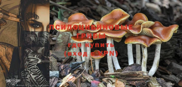 spice Рославль