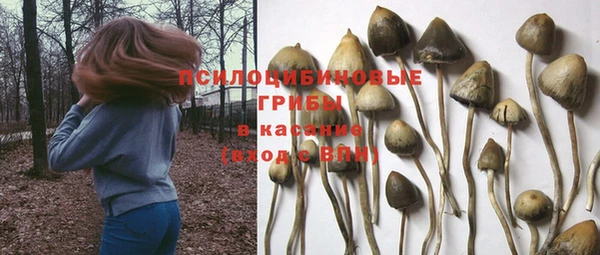 ешки Россошь