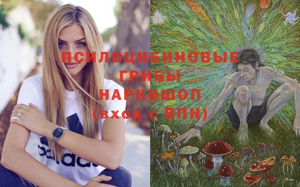 spice Рославль