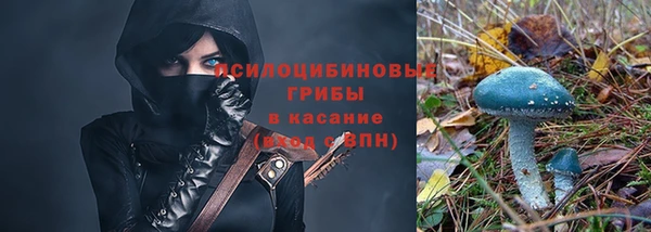 spice Рославль